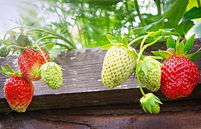 前R星技术总监：《GTA6》与五代相比 不会有太大突破